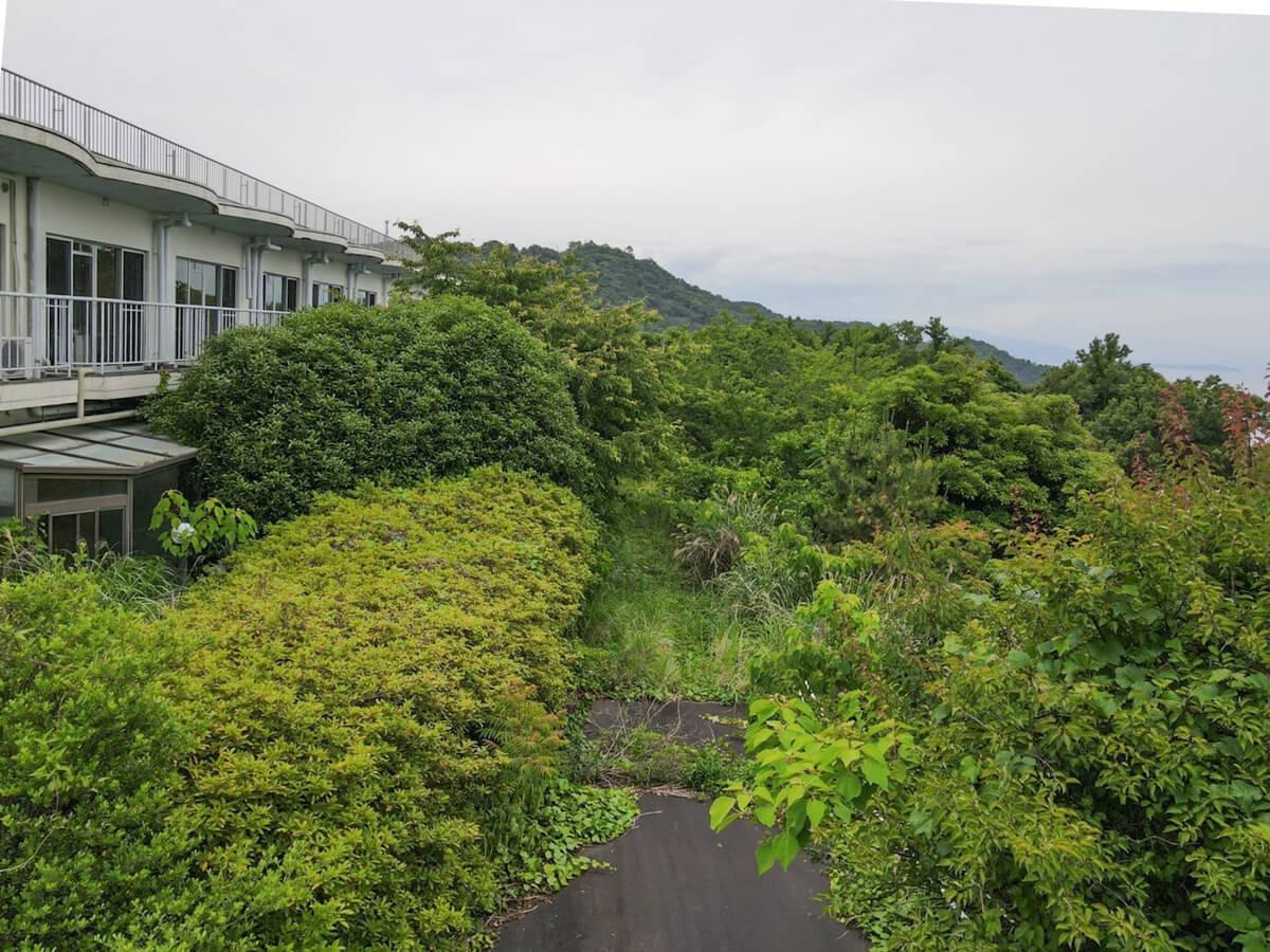 静岡県伊東市川奈の売買物件/海を望む立地。手前の緑はしっかり手を入れれば雰囲気もよくなり、海がよく見えるようになります