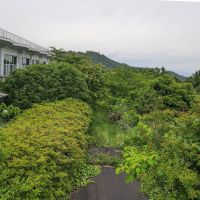 静岡県伊東市川奈の売買物件/海を望む立地。手前の緑はしっかり手を入れれば雰囲気もよくなり、海がよく見えるようになります
