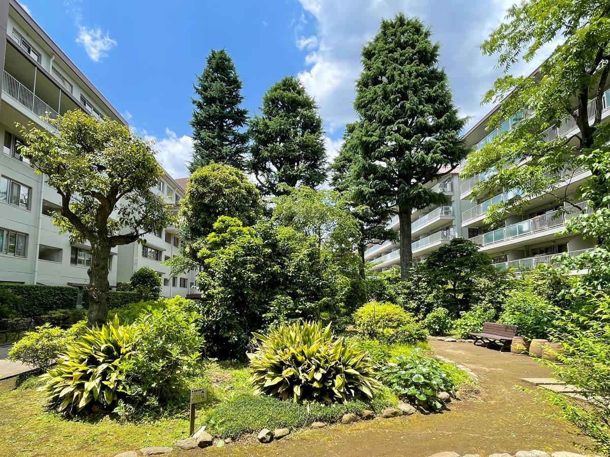 中野区白鷺の売買物件/たくさんの木々が植えられた中庭。大きく育ったヒマラヤスギがシンボルツリーに。ベンチが置かれ、子供が遊んべるようになっている