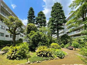 中野区白鷺の売買物件/歴史を重ねた、緑とヴィンテージ