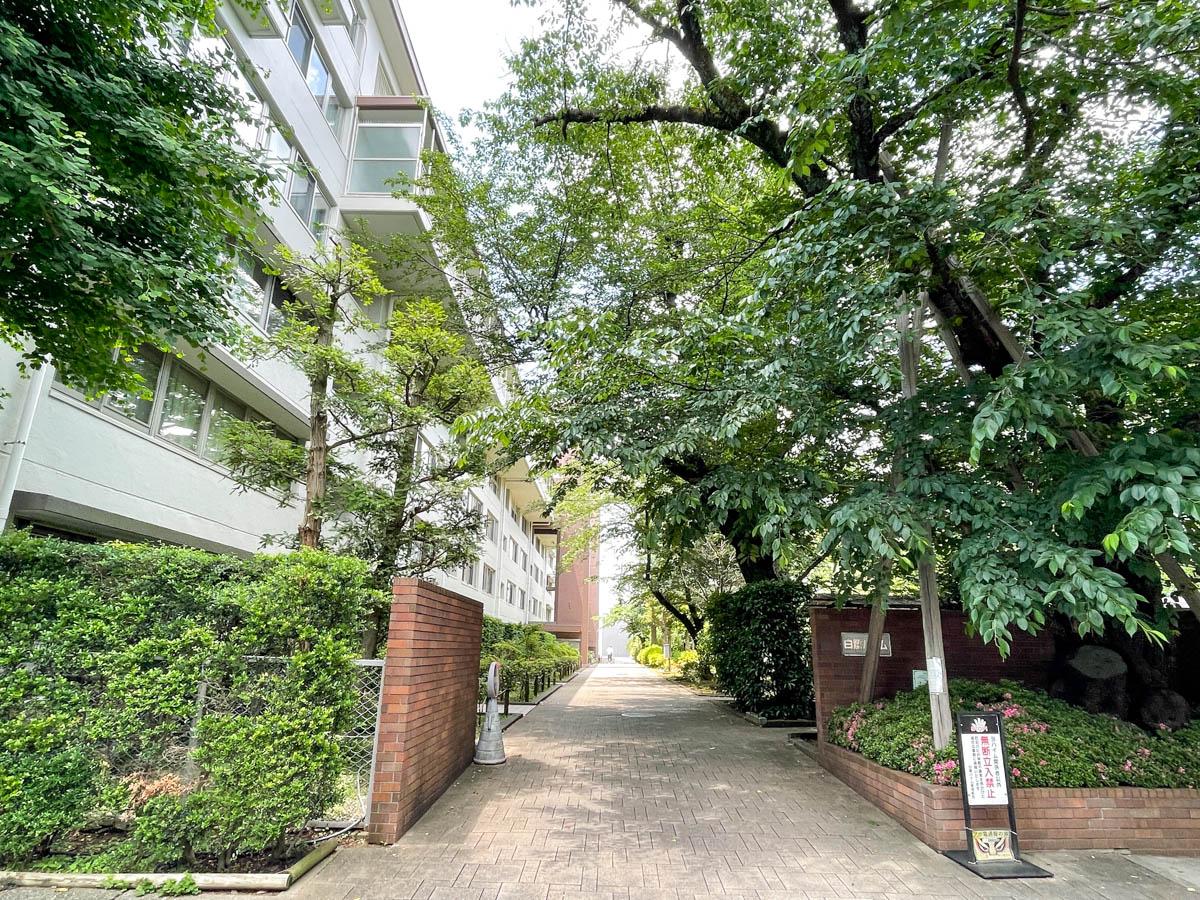 中野区白鷺の売買物件/敷地入口。大きな桜の木が植えられています