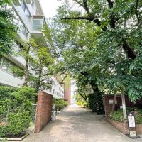 中野区白鷺の売買物件/敷地入口。大きな桜の木が植えられています