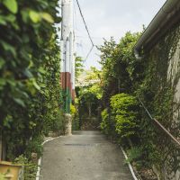沖縄県那覇市首里崎山町の売買物件/散歩しているだけでも楽しい首里の街並み