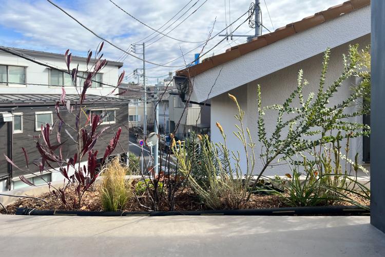 杉並区浜田山の賃貸物件/窓際の植樹に心が和みます