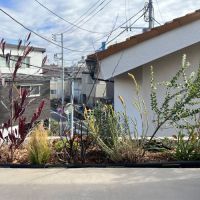 杉並区浜田山の賃貸物件/窓際の植樹に心が和みます
