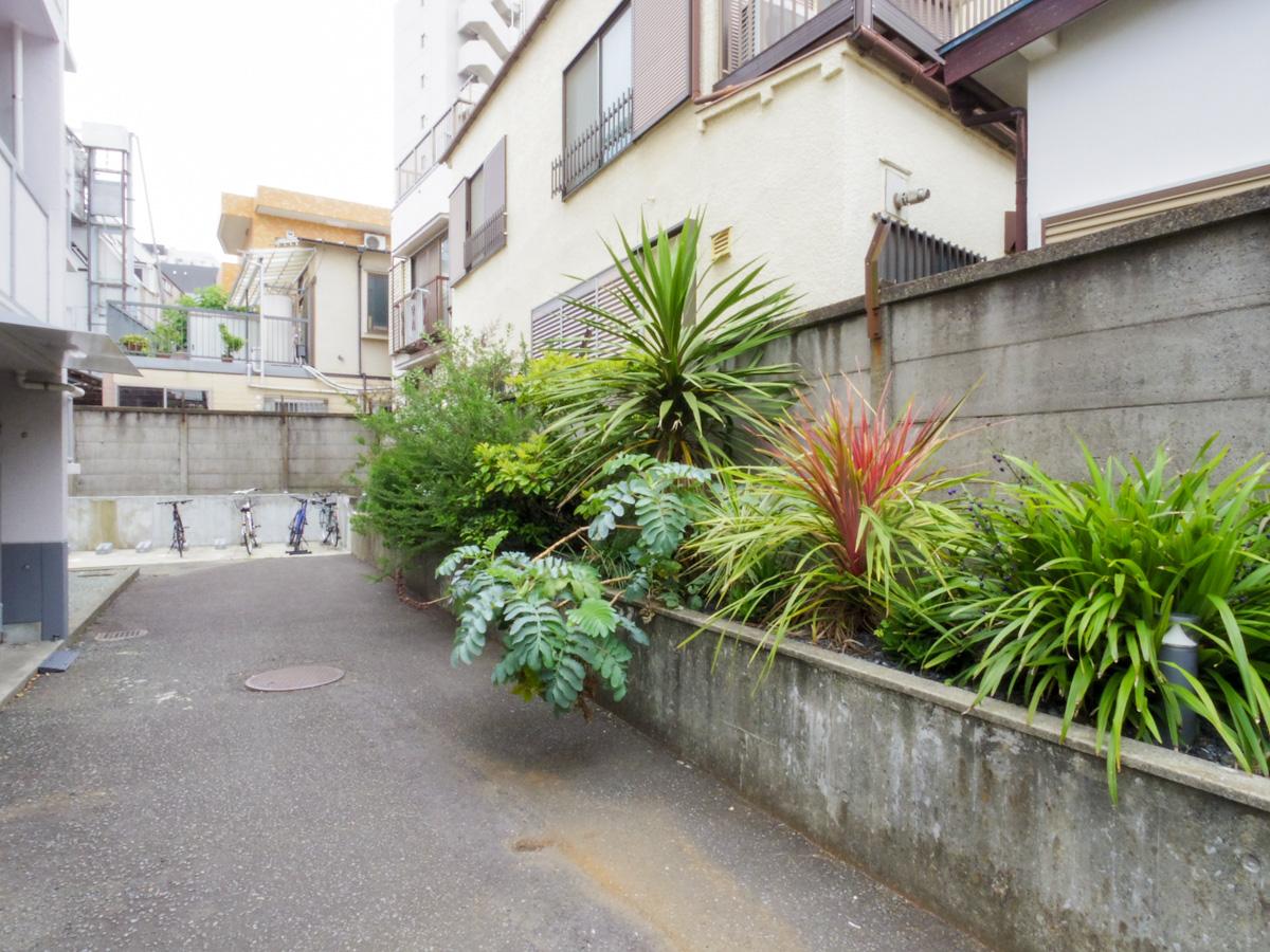 品川区豊町の賃貸物件/敷地内の植栽もいい感じに育ってきたところ。写真奥が駐輪場スペース