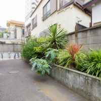 品川区豊町の賃貸物件/敷地内の植栽もいい感じに育ってきたところ。写真奥が駐輪場スペース