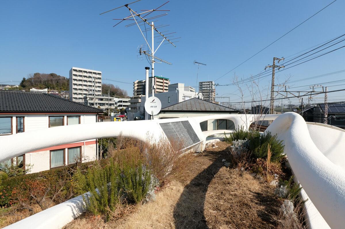 町田市大蔵町の売買物件/屋上は植木が植えられている