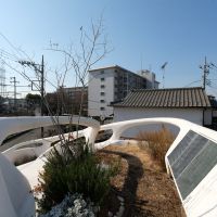 町田市大蔵町の売買物件/屋上