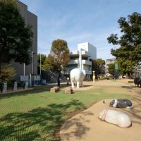 練馬区貫井の賃貸物件/近くの美術館に隣接した公園