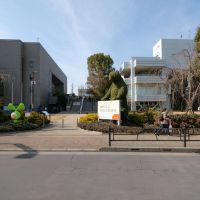 練馬区貫井の賃貸物件/近くの美術館に隣接した公園