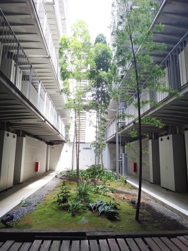横浜市青葉区美しが丘の賃貸物件/竹の美しい中庭