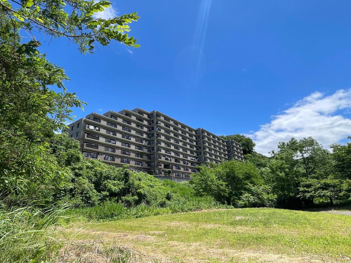 埼玉県入間市仏子の売買物件/川側からマンションを見上げて。芝生の気持ちいい広場がある