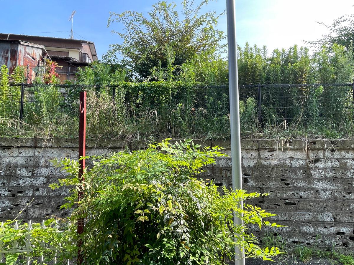 板橋区赤塚の賃貸物件/今の季節は生命力を感じる緑に覆われる風景