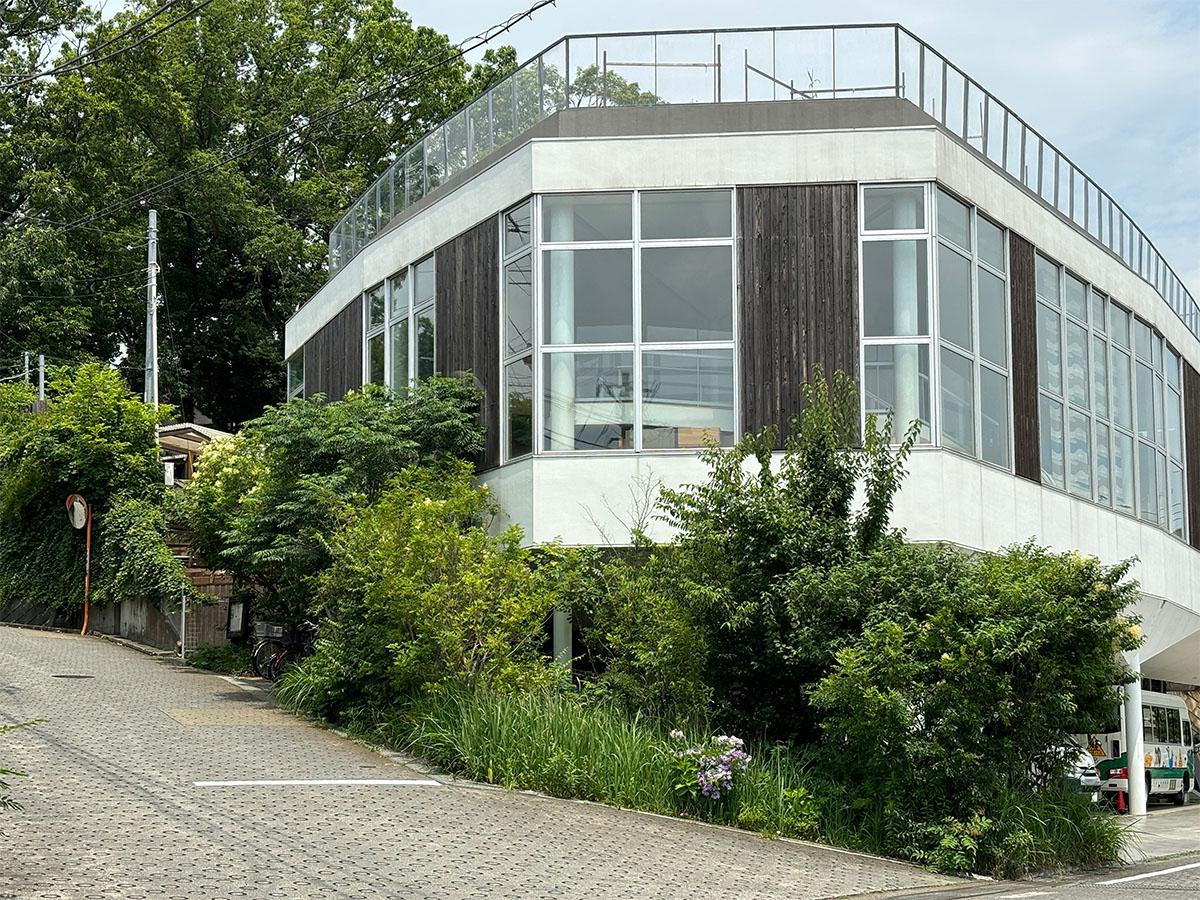 町田市忠生の売買物件/町田自然幼稚園。森のような広い園庭で子どもたちが駆け回っている