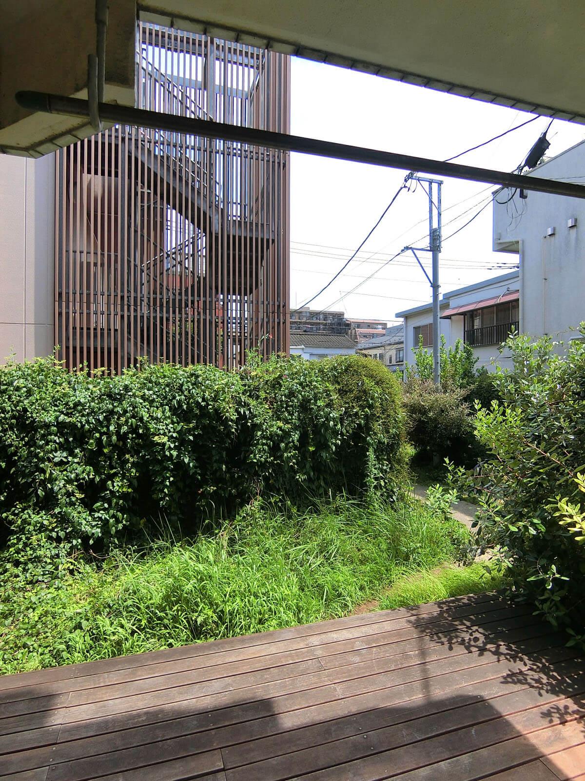 大田区蒲田の賃貸物件/テラスに出るともさもさの緑が目の前に
