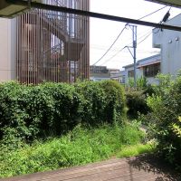 大田区蒲田の賃貸物件/テラスに出るともさもさの緑が目の前に
