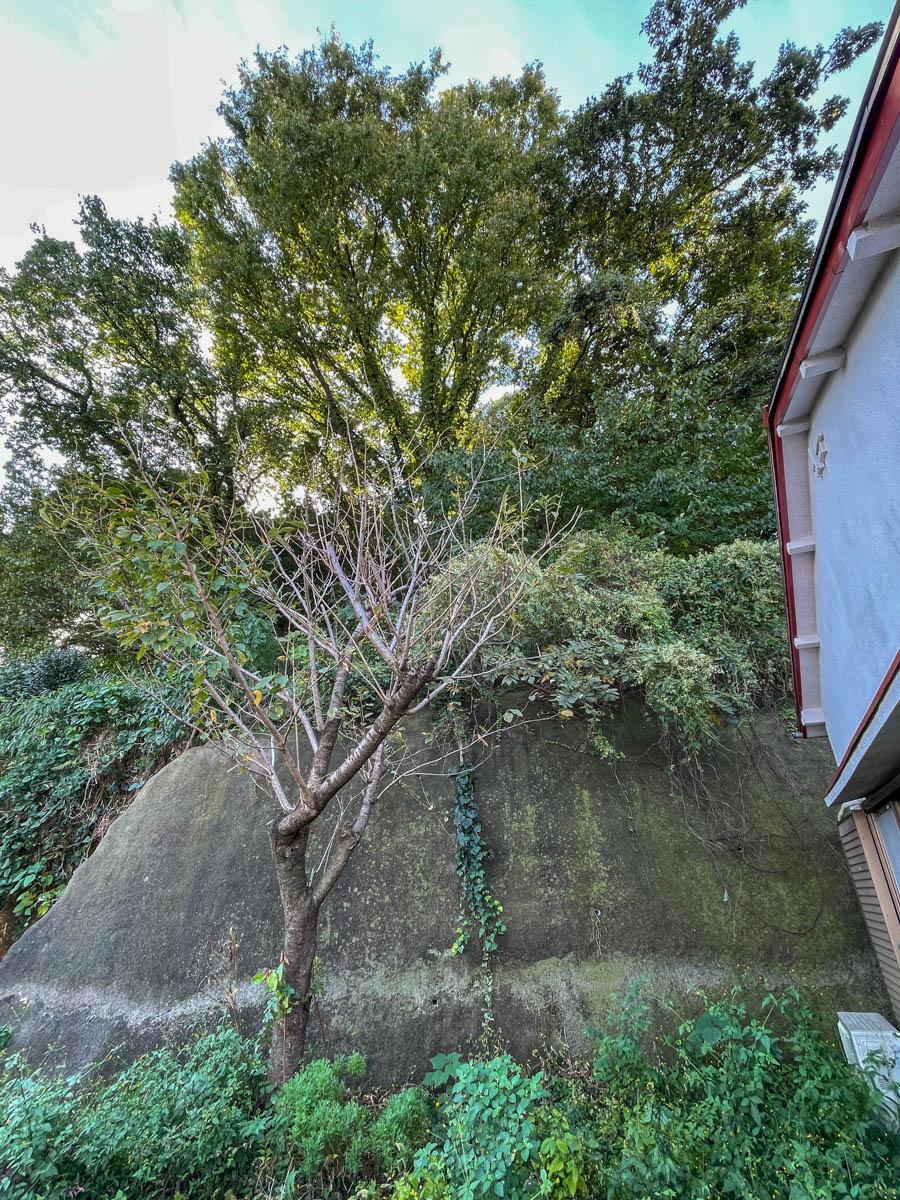 横浜市港北区日吉の賃貸物件/お庭の南側は大学の敷地