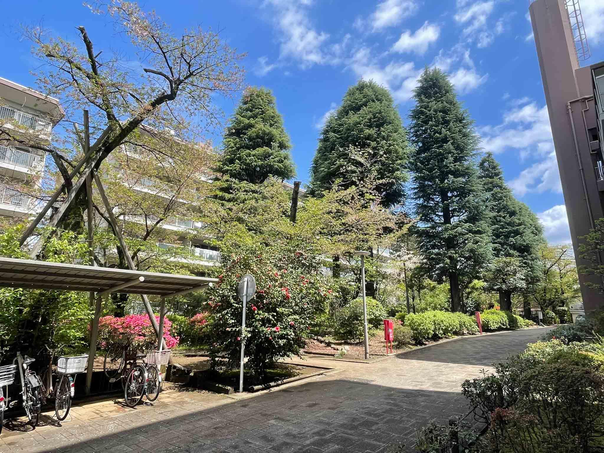 中野区白鷺の賃貸物件/マンションの敷地内には緑道が通っています