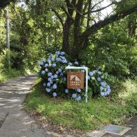 千葉県いすみ市岬町椎木の売買物件/配置図からみると右上のY字路。道路から敷地全体へ向かってみているアングル