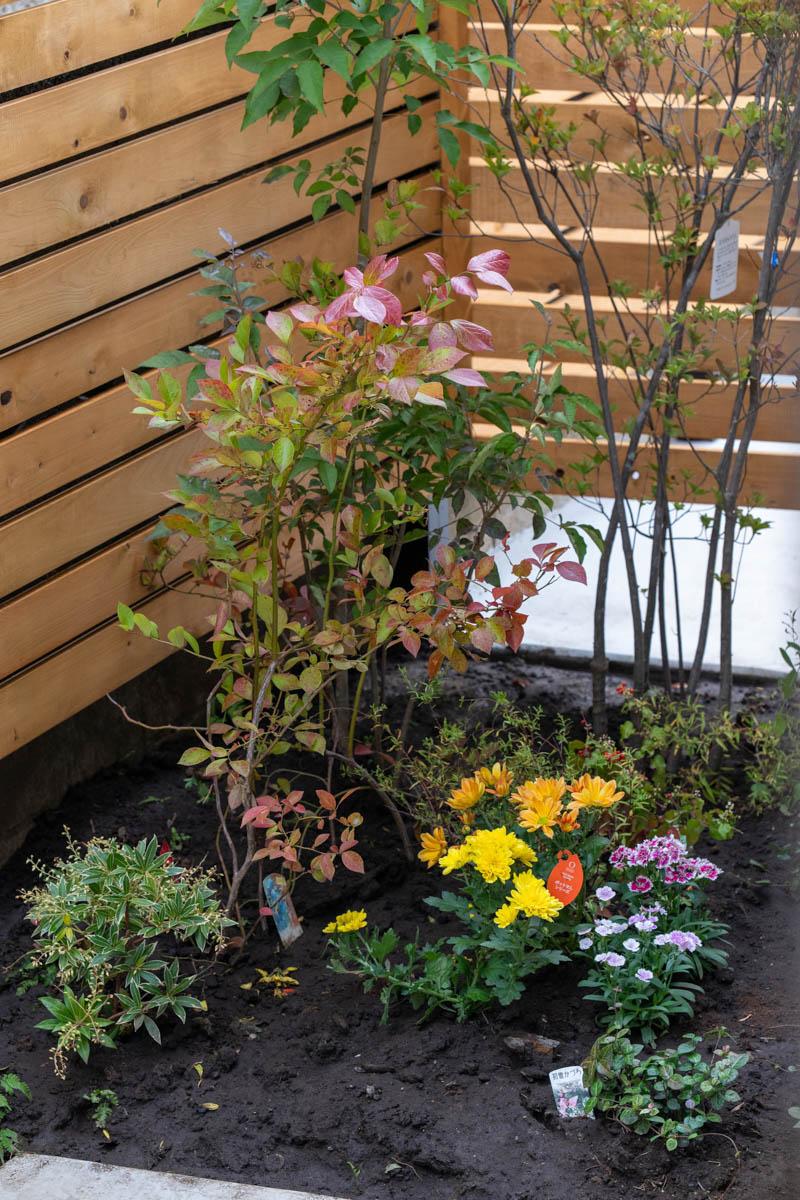 練⾺区下石神井の賃貸物件/お庭の一角には地植えがしやすい花壇スペースが