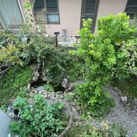 世田谷区豪徳寺の賃貸物件/バルコニーからも中庭が覗き込めます
