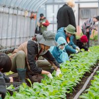 西東京市柳沢5-3の売買物件/農園で行ったイベントの様子。農園の収穫体験。撮影：丹下恵実