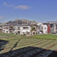 西東京市柳沢5-3の売買物件/計画地：現地の畑を少し高いところから。なだらかな斜面になっています