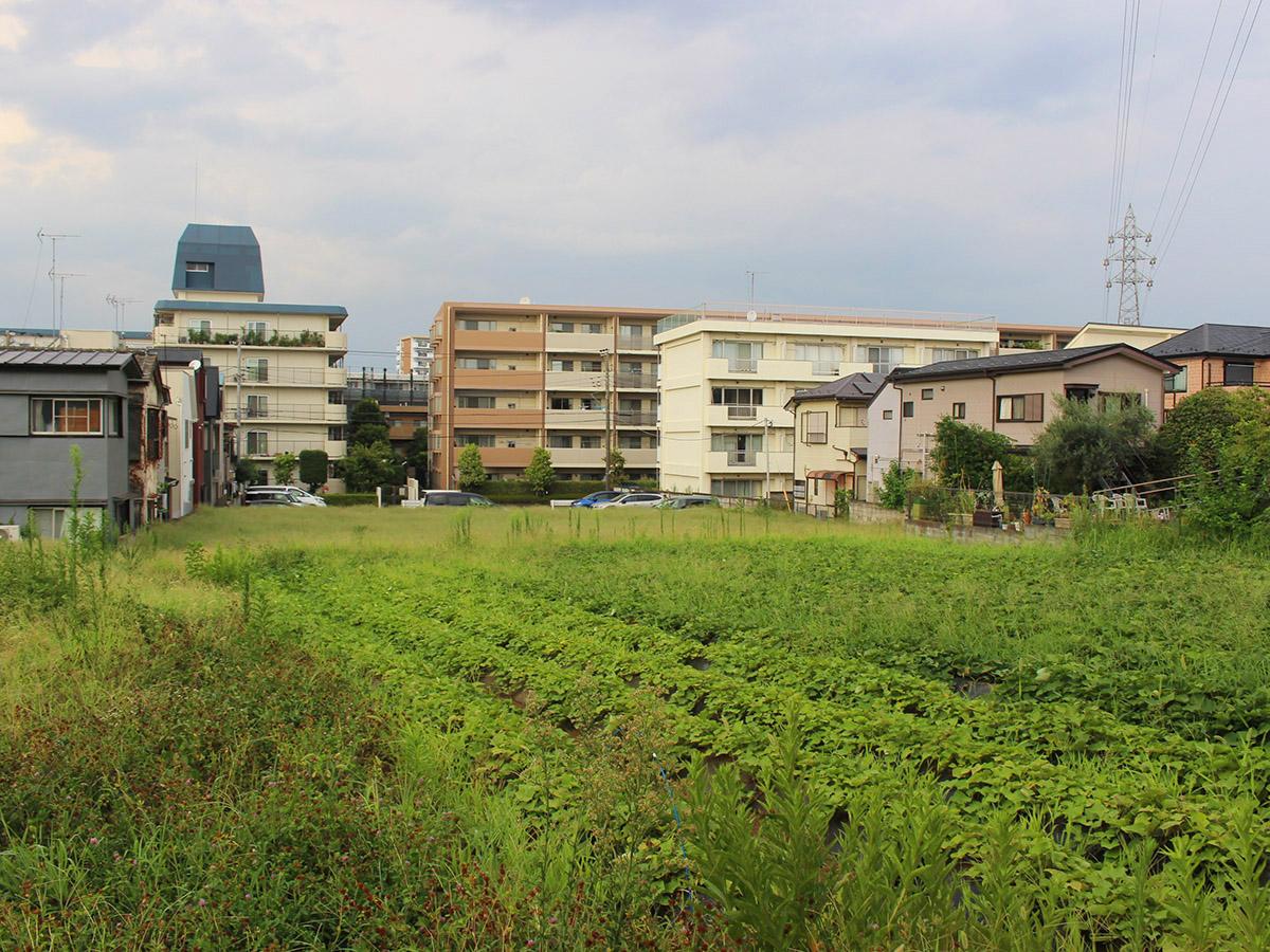 西東京市柳沢5-3の売買物件/計画地：現地は畑と駐車場。撮影：丹下恵実