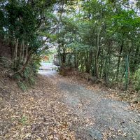 静岡県下田市白浜の売買物件/前面道路は滅多に車の通行がないそう