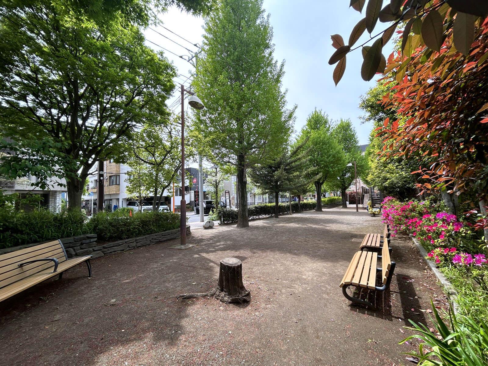 武蔵野市境の賃貸物件/おとなりの公園が子どもの遊び場や犬の散歩に重宝しそうです