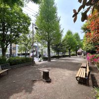武蔵野市境の賃貸物件/おとなりの公園が子どもの遊び場や犬の散歩に重宝しそうです