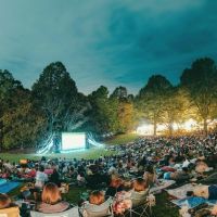 静岡県沼津市足高の賃貸物件/芝生広場で映画祭