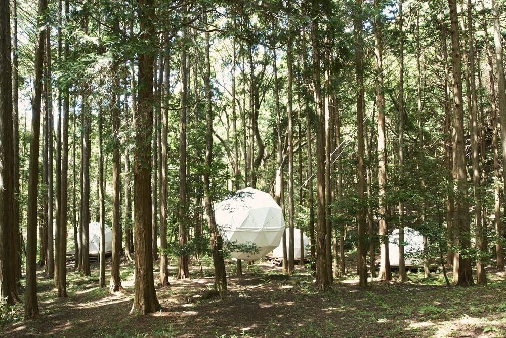 静岡県沼津市足高の賃貸物件/INN THE PARKを象徴する球体テント