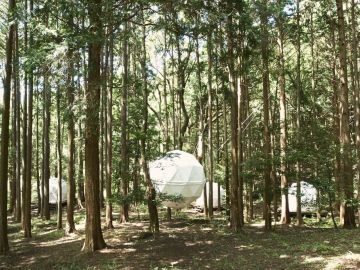 静岡県沼津市足高の賃貸物件/公園の中の仲間、募集します