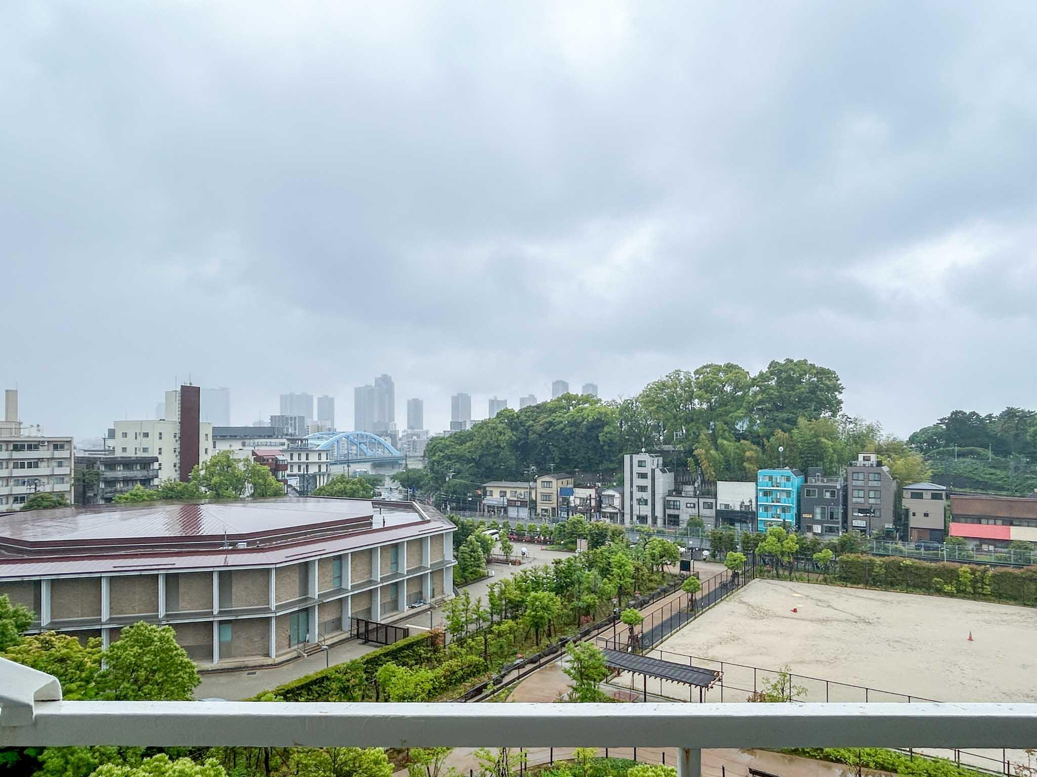 大田区田園調布の売買物件/緑と多摩川、その奥には高層ビル。都市と自然が交じりあういい景色