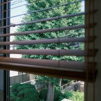 杉並区荻窪の売買物件/ブラインド越しに公園の緑を感じられる