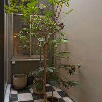 渋谷区上原の売買物件/中庭。植栽はこのまま引き継いでいただければ