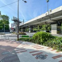品川区上大崎の賃貸物件/首都高の奥に広がる自然教育園