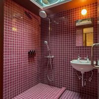 江東区清澄の賃貸物件/ワインレッドのタイルに身を包むシャワールーム。なんと天窓付き