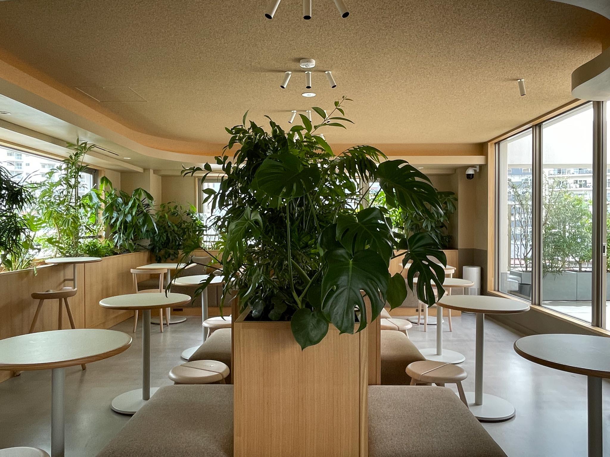 品川区大崎の賃貸物件/中央の植栽がゆるやかな境界となり、ほどよくプライバシーが保たれるよう計画されています