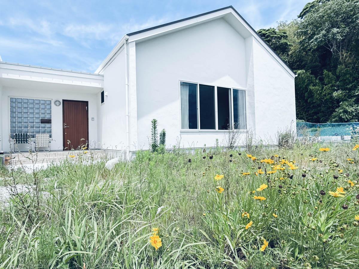 千葉県印西市笠神の売買物件/自然に自生した草花が生えた、野生みある前庭。野原にきたような気持ちにさせてくれる