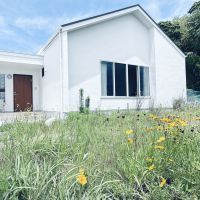 千葉県印西市笠神の売買物件/自然に自生した草花が生えた、野生みある前庭。野原にきたような気持ちにさせてくれる
