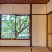 練馬区石神井台の売買物件/窓の先には桜の木があり圧巻です