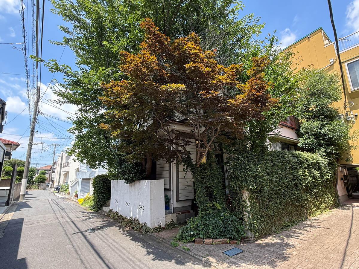 練馬区石神井台の売買物件/角には紅葉、その奥に桜の木がたくましく育っています