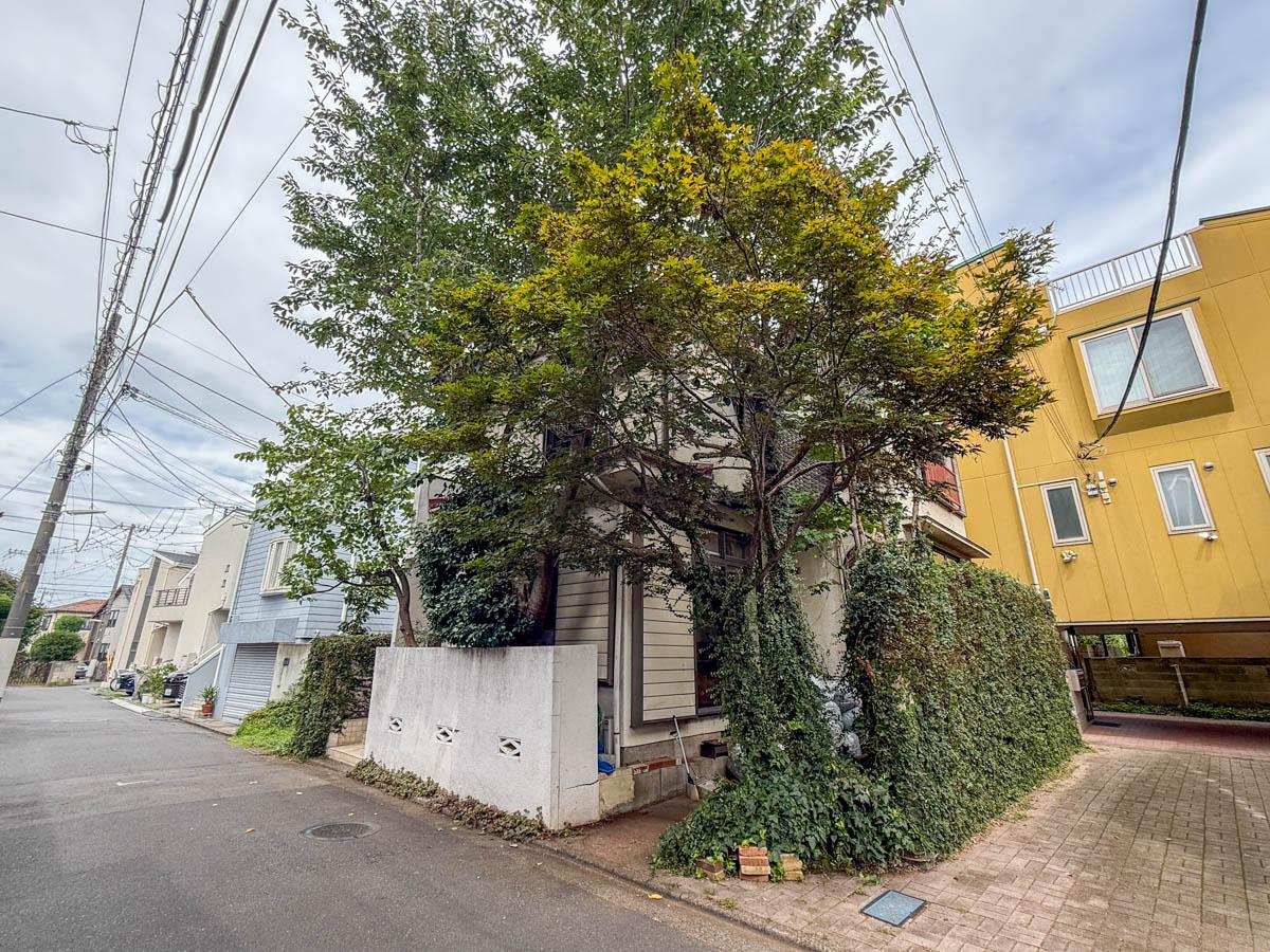 練馬区石神井台の売買物件/角には紅葉が植えられています