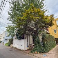 練馬区石神井台の売買物件/角には紅葉が植えられています
