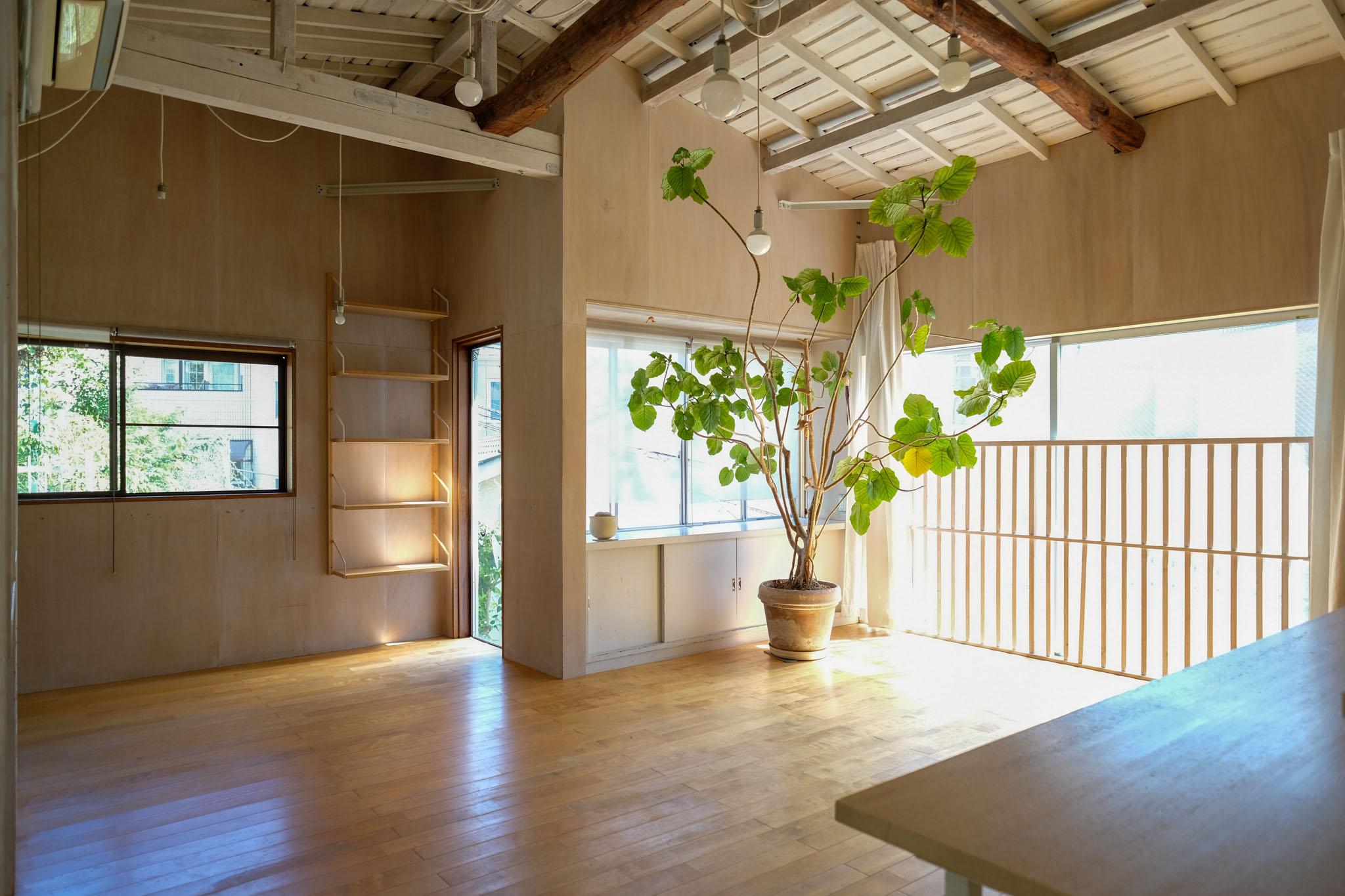 文京区白山の賃貸物件/大きな窓から、光と風。植物もよく育ちそうな明るさ