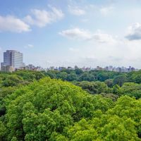 文京区本駒込の売買物件/屋上からはこの景色が楽しめます