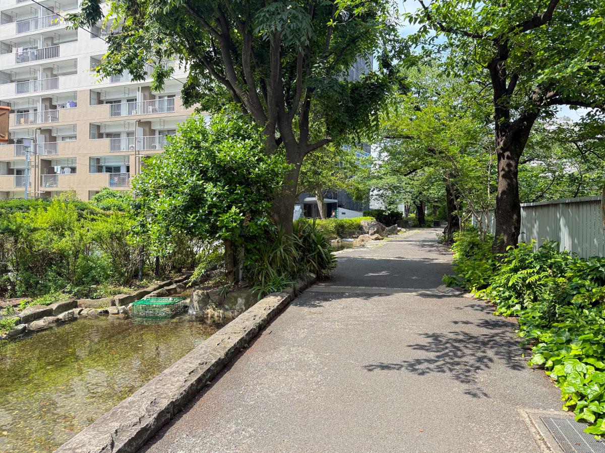 新宿区北新宿の売買物件/建物は神田川沿いに立っていて、緑道がある